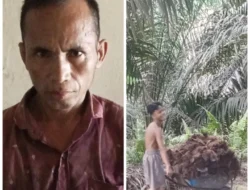 Duga Kepala Rombongan PT Inti Indosawit Subur Kebun Ukui KUK, Pekerjakan Karyawan Di Bawah Umur
