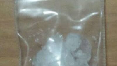 Warga Minta APH Lumpuhkan Bandar Sabu Di Desa Parlabian