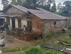 Hujan Deras Di Sertai Angin Puting Beliung Di Taput, Rusak 8 Rumah 1 Meninggal Dunia Dan 8 Luka Ringan