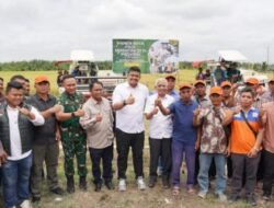 Hadiri Panen Raya Padi, Gubernur Sumut Dan Pangdam I/BB Bersama Presiden RI Dan Petani Di 14 Provinsi Dan 157 Kabupaten/Kota