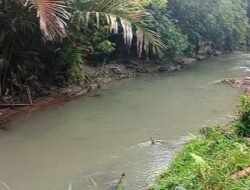 Sungai Bah Sombu Dusun Sarekat Desa Silau Padang Kecamatan Sipispis, Dipastikan Tidak Tercemar Limbah PKS TSP Bersihkan Bantaran Sungai Dan Siapkan Land Application