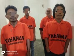 Kerjasama Sat Reskrim Polres Taput Dan Polsek Siborong – Borong Berhasil Ringkus 4 Pelaku Pencurian Ternak Kerbau
