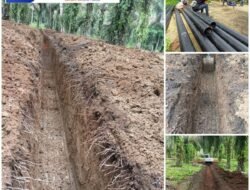 Heboh Adanya Ikan Mabuk Di Sungai, PKS TSP Pastikan Tidak Ada Buang Limbah Ke Sungai Bah Sumbu