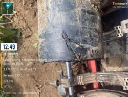 Pipa HDPE Saluran Limbah Ke Land Application Milik PT. TSP Diduga Kembali Disabotase OTK