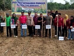 Kades Sungai Keruh Alifman Dukung Program Ketahanan Pangan Nasional BUMDES Suke Berkarya  ‎
