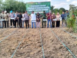 Program Ketahanan Pangan BUMDES Tanjung Bungur Desa Mangun jayo Resmi Digelar