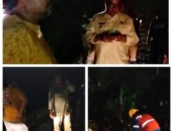 Gerak Cepat… Pohon Tumbang Menutup Jalan Raya, Bupati Aceh Tenggara Turun Langsung Ke Lokasi