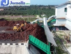 Dampak Lingkungan Yang Signifikan Akan Terjadi Dua Pabrik Kelapa Sawit Dalam Dua Dusun