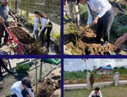 Tanam Ketapang Kencana, Tunas Muda Pemasyarakatan Rutan Humbahas Wujudkan Lingkungan Sehat