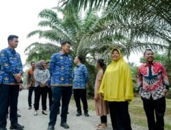 Wabup Sergai Adlin Tambunan Tinjau Peningkatan Jalan Di Dua Kecamatan: Kualitas Dan Ketepatan Waktu Jadi Prioritas Utama