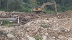 Pascabencana Di Humbahas, Pemulihan Lahan Pertanian Dimulai