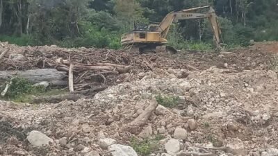 Pascabencana Di Humbahas, Pemulihan Lahan Pertanian Dimulai