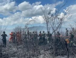 Pemkab Humbahas Dan Yonif TP 955 HS Padamkan Kebakaran Lahan Warga Di Simangaronsang
