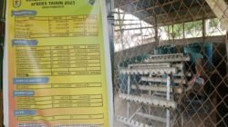 Diduga Ratusan Juta Anggaran Perikanan Dan Ketahanan Pangan Di Desa Pabatu II Belum Jelas Hasilnya, Konfirmasi Diabaikan