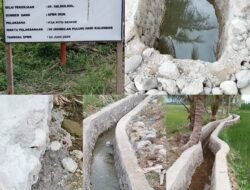 PROYEK P3-TGAI Desa Pedesi Disorot, Aktivis Minta APH Dan Dinas Terkait Turun Kelapangan