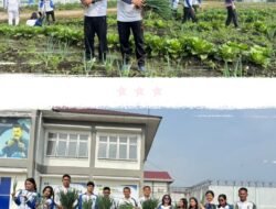 Dukung Kemandirian Warga Binaan, Rutan Humbahas Lakukan Panen Daun Bawang